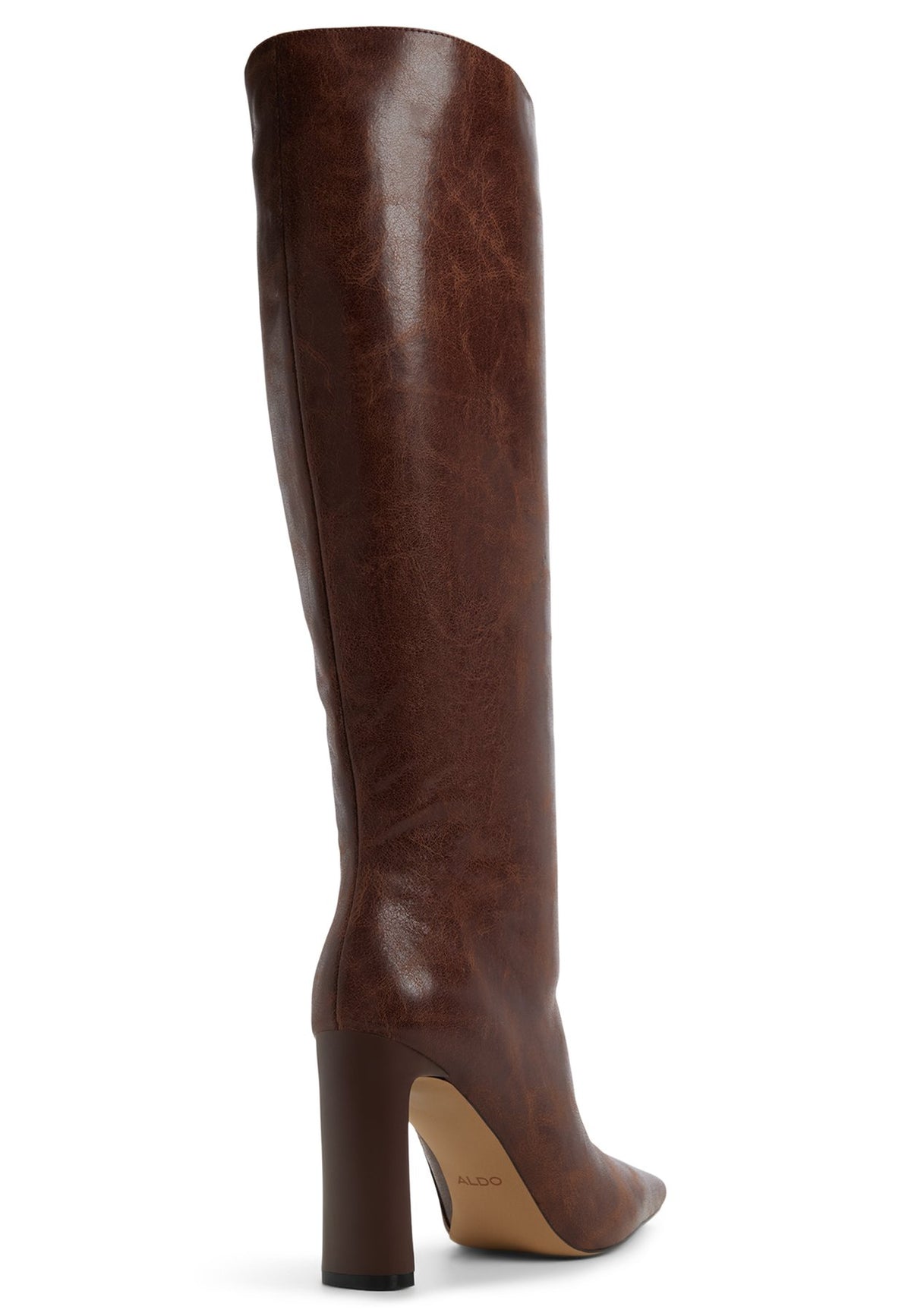 ALDOELYNE - High Heel Stiefel