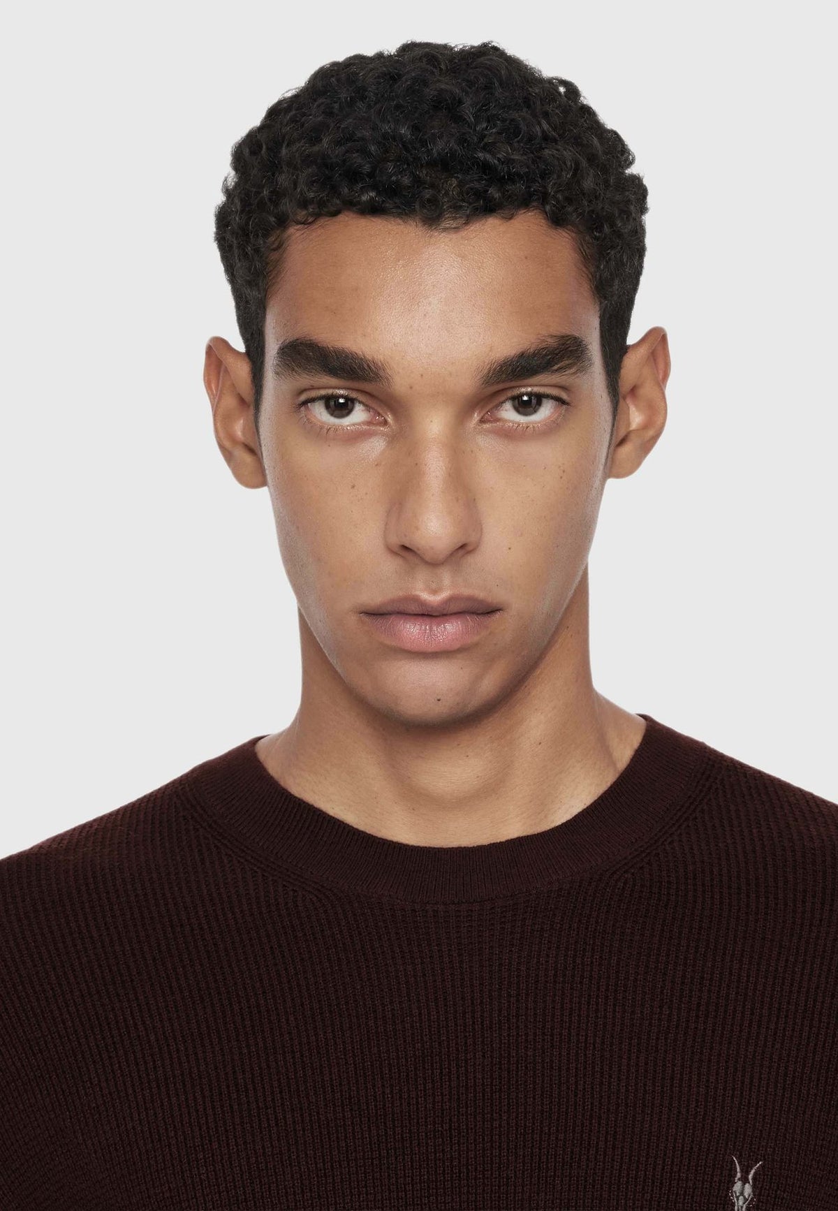 AllSaintsASPEN CREW - Strickpullover