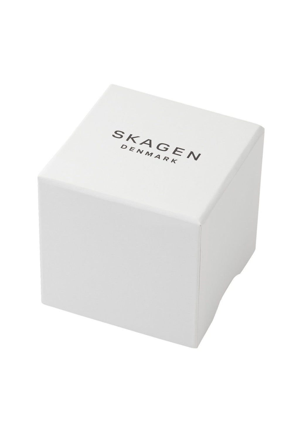 SkagenChronograph