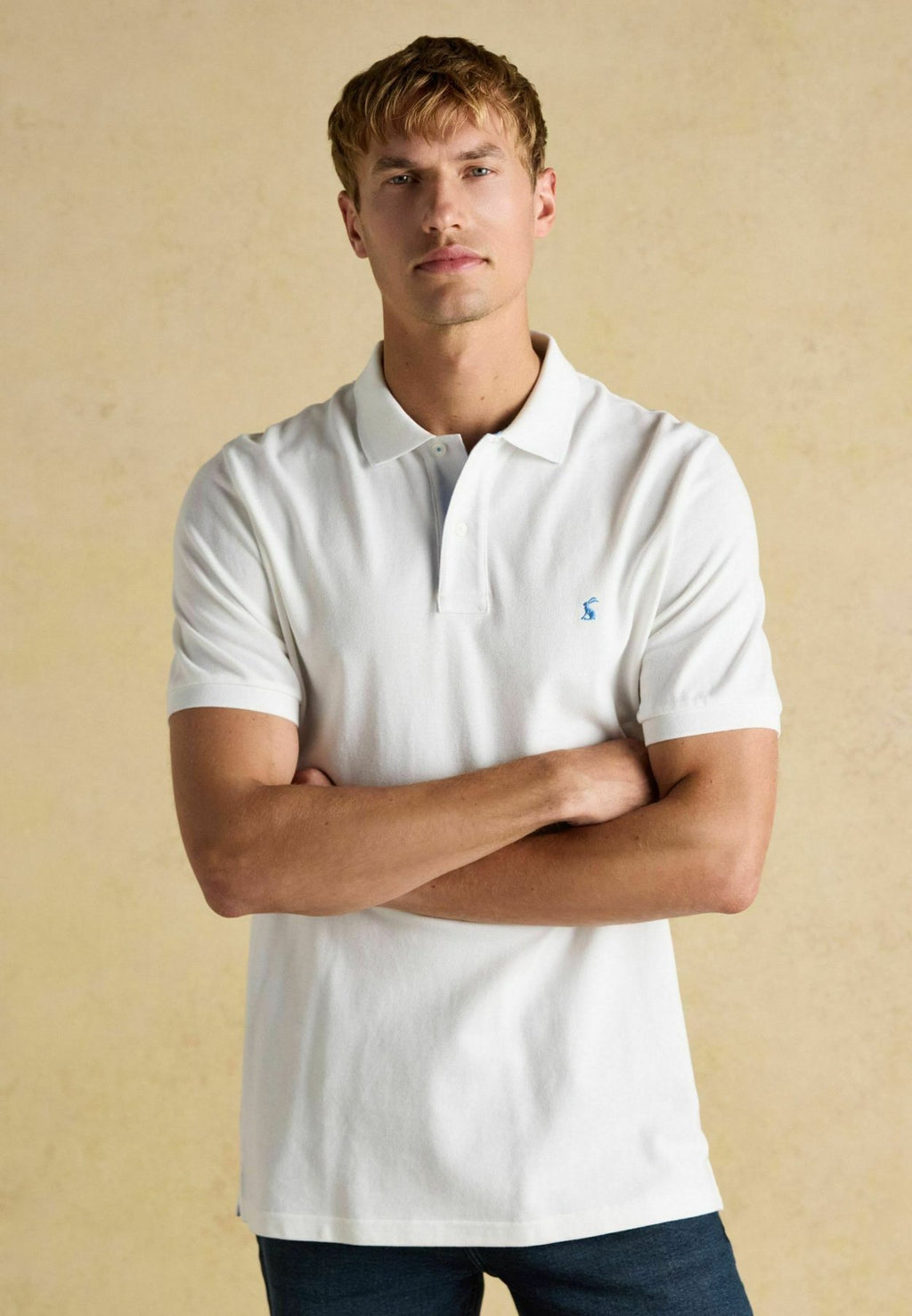 Tom JouleREGULAR FIT - POLO SHIRTS 5 PACK . - Poloshirt