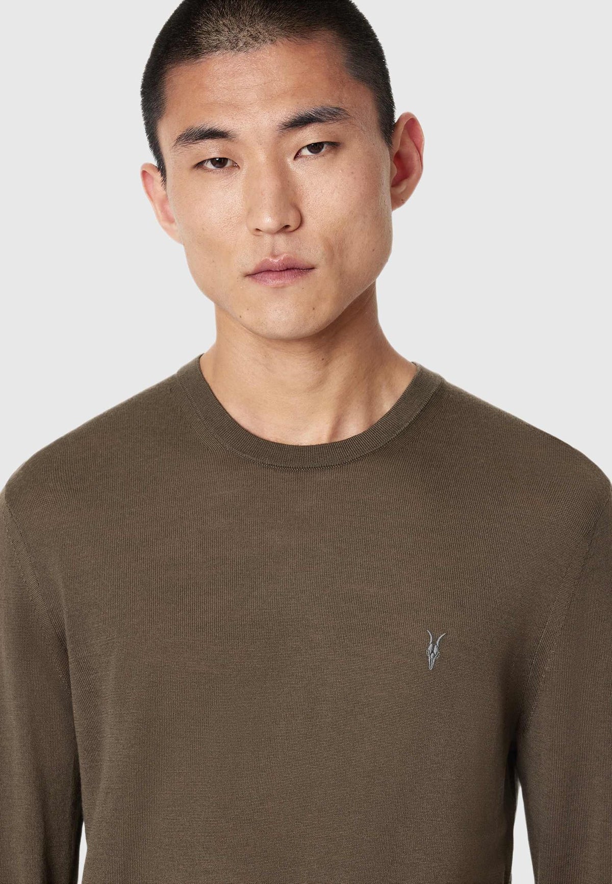 AllSaintsStrickpullover