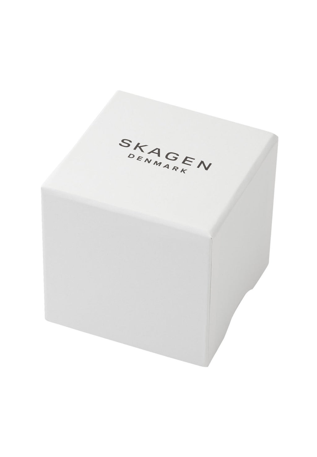 SkagenChronograph