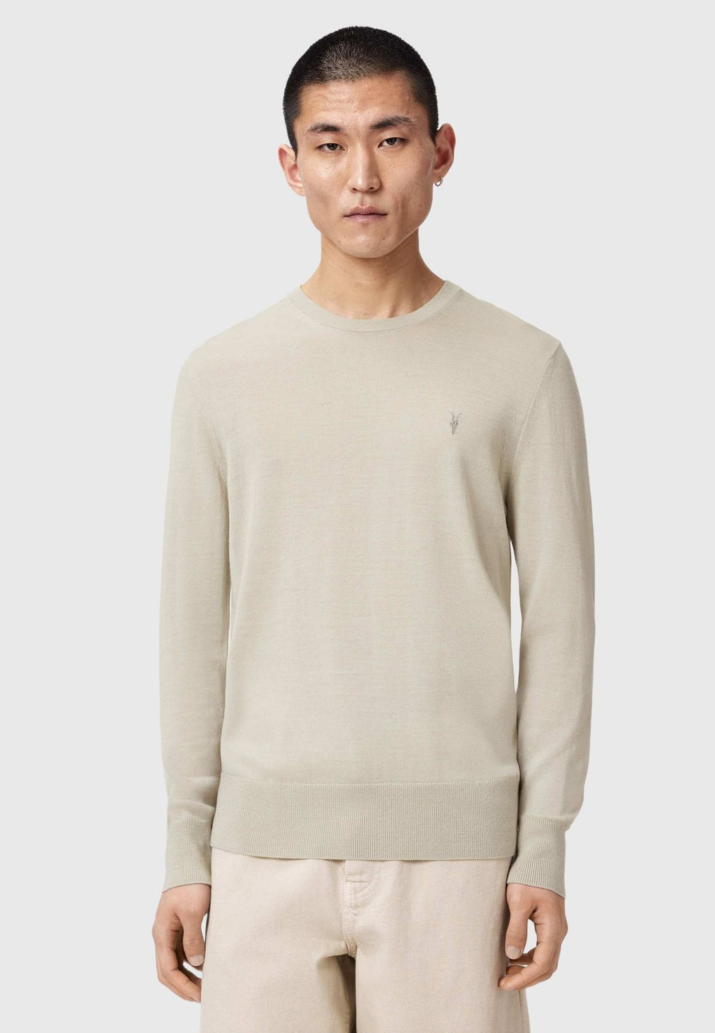 AllSaintsStrickpullover