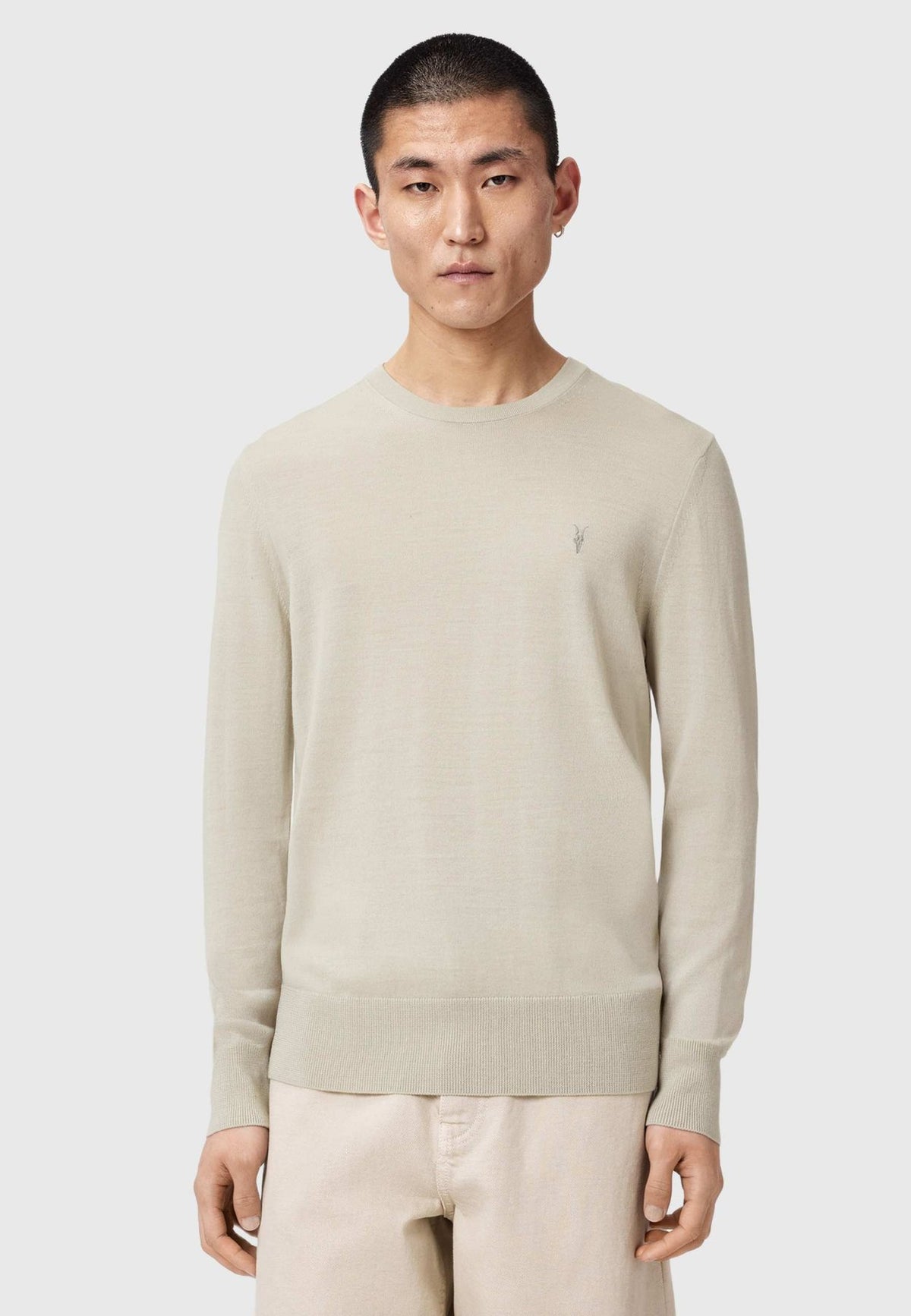 AllSaintsStrickpullover