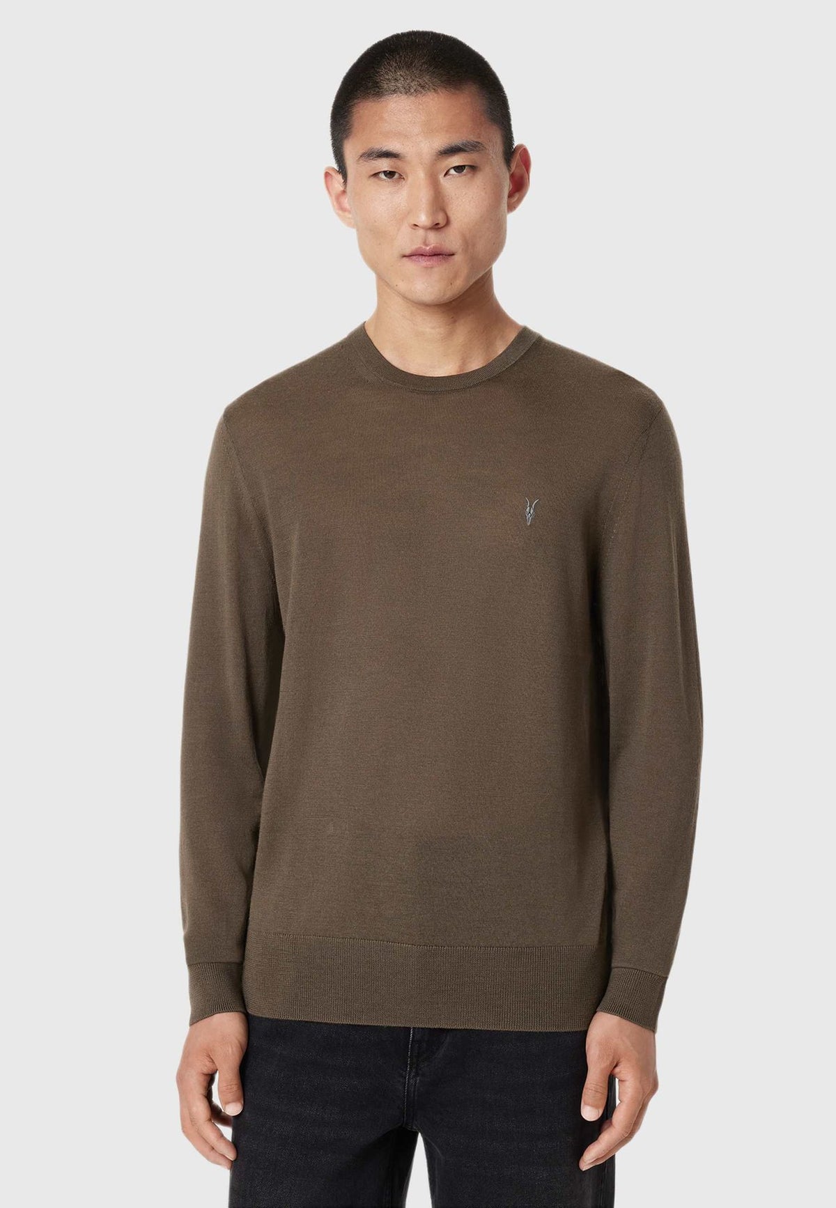 AllSaintsStrickpullover