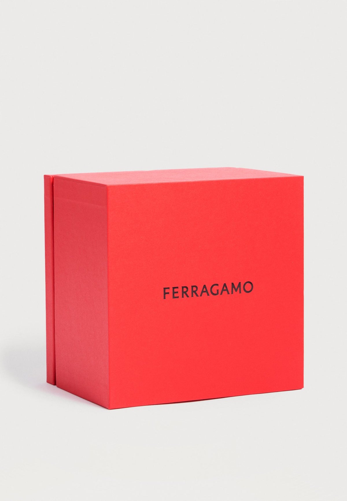 FERRAGAMOFERRAGAMO CRYSTAL PETITE - Uhr