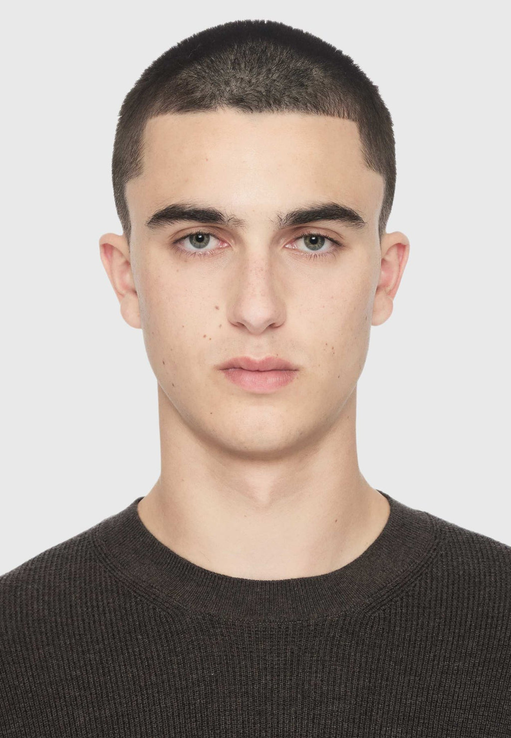 AllSaintsASPEN CREW - Strickpullover