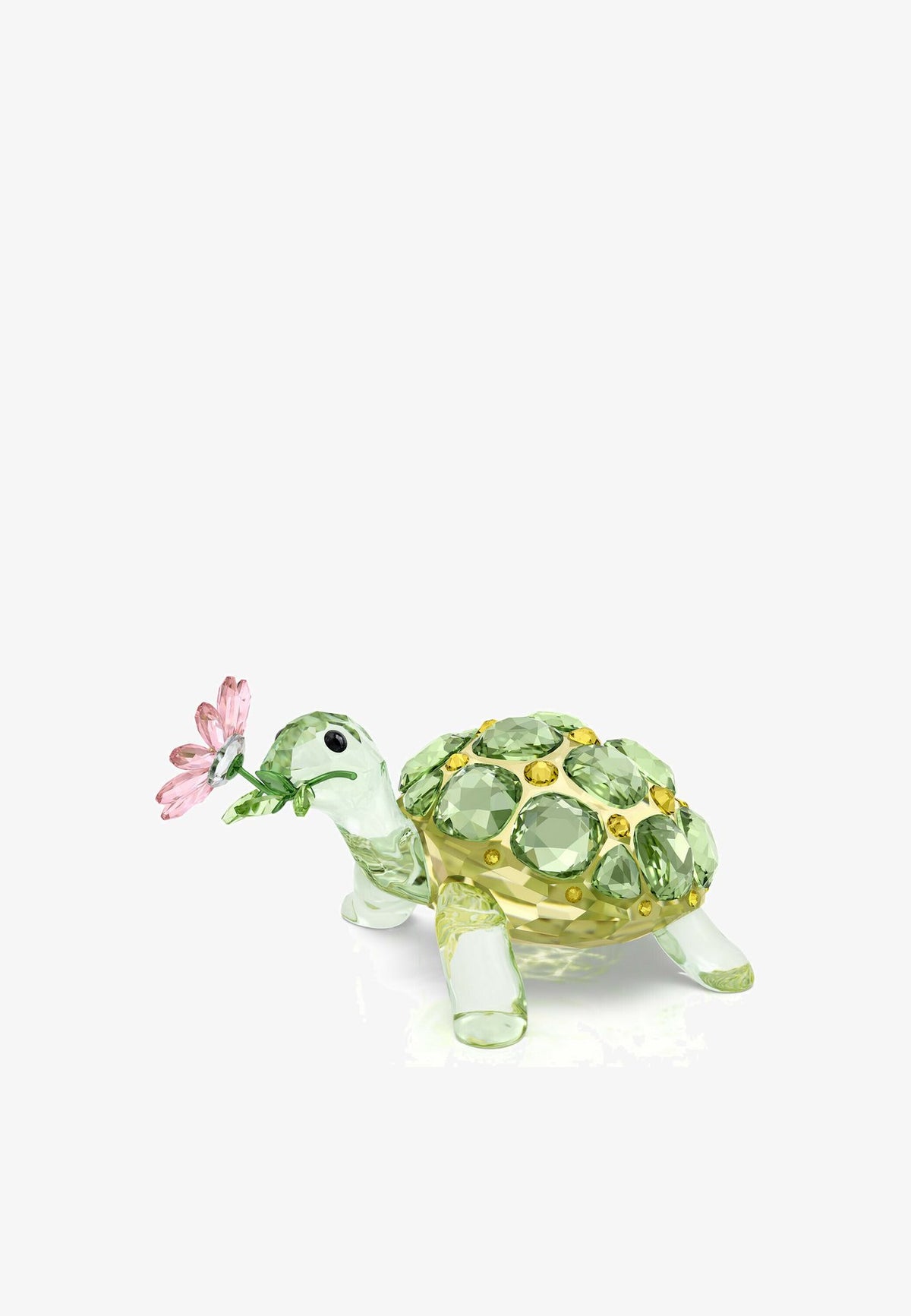 SwarovskiIDYLLIA TORTOISE AND DAISY - Deko