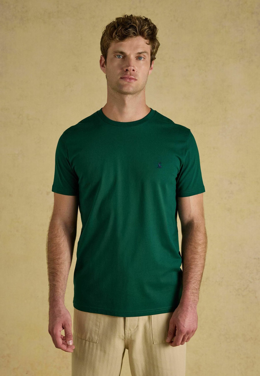 Tom Joule5 PACK - Basic-T-Shirt