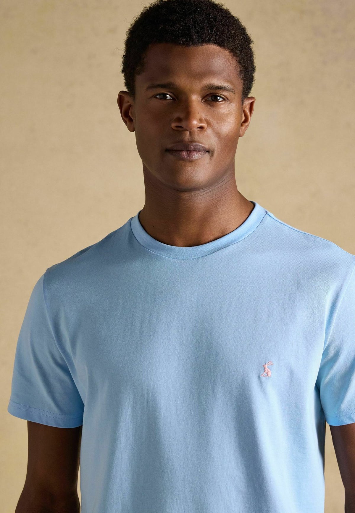 Tom Joule5 PACK - Basic-T-Shirt