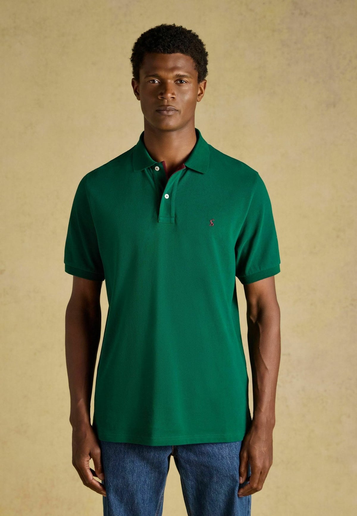 Tom JouleREGULAR FIT - POLO SHIRTS 5 PACK . - Poloshirt
