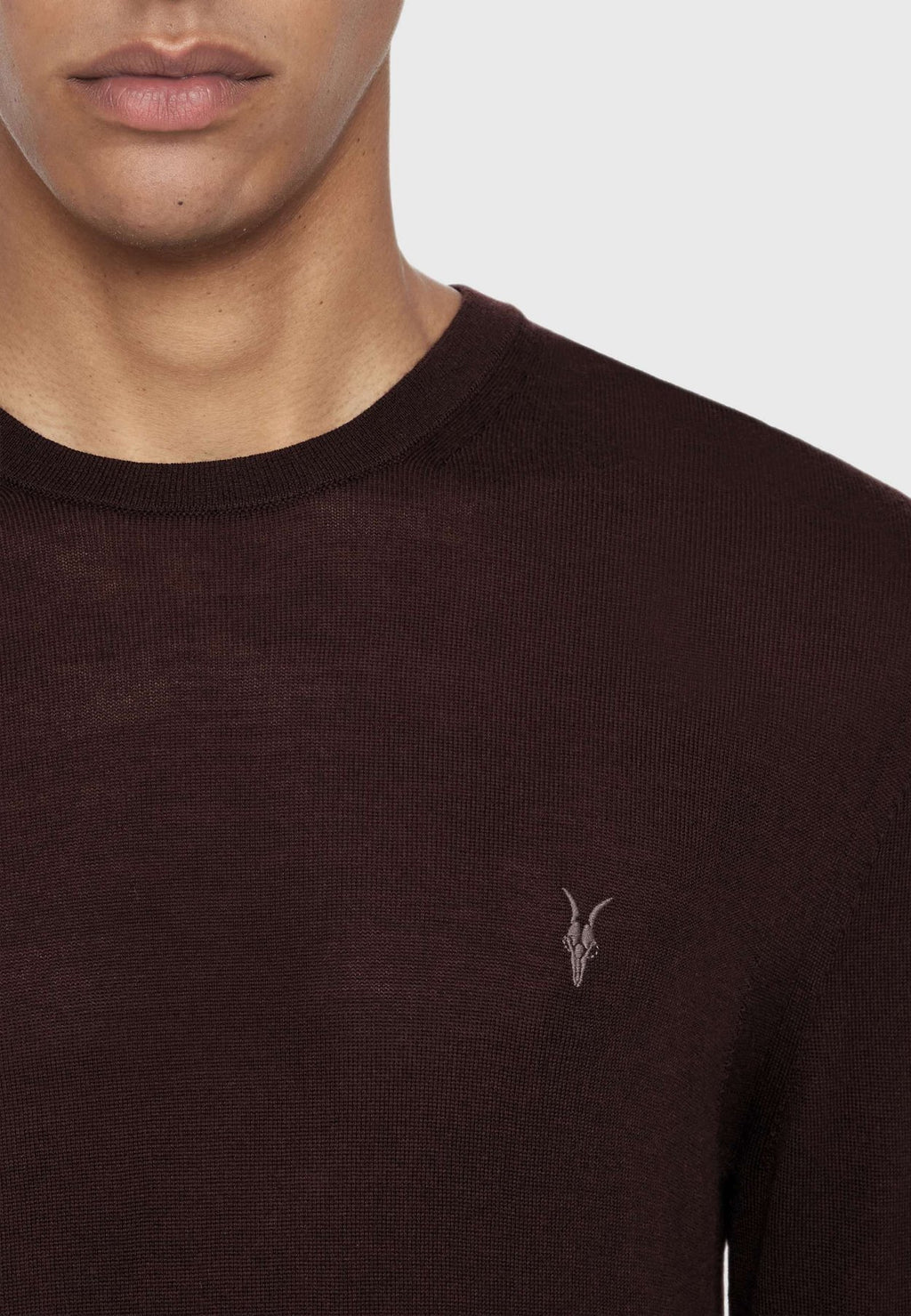 AllSaintsStrickpullover