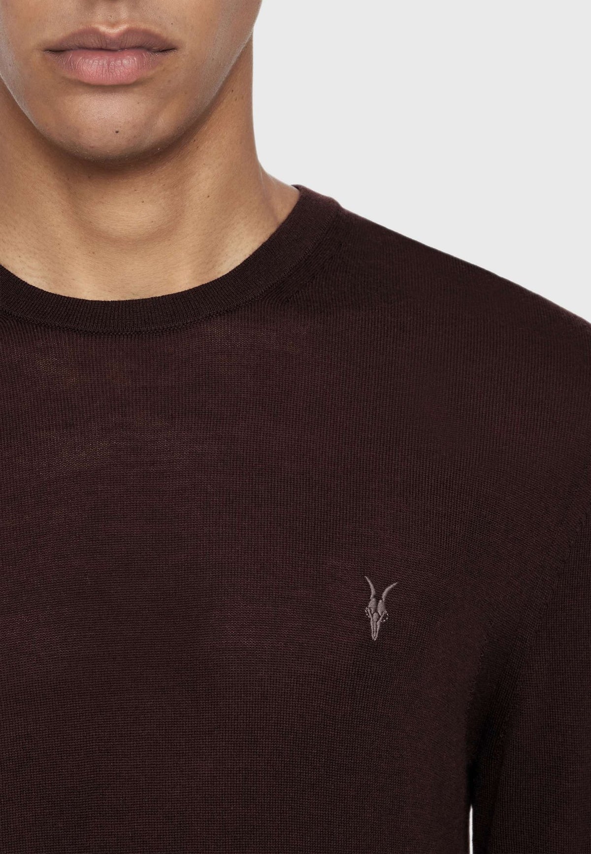 AllSaintsStrickpullover