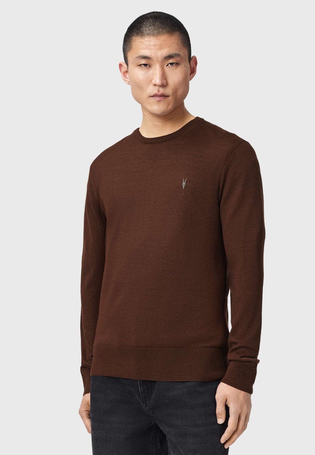AllSaintsStrickpullover