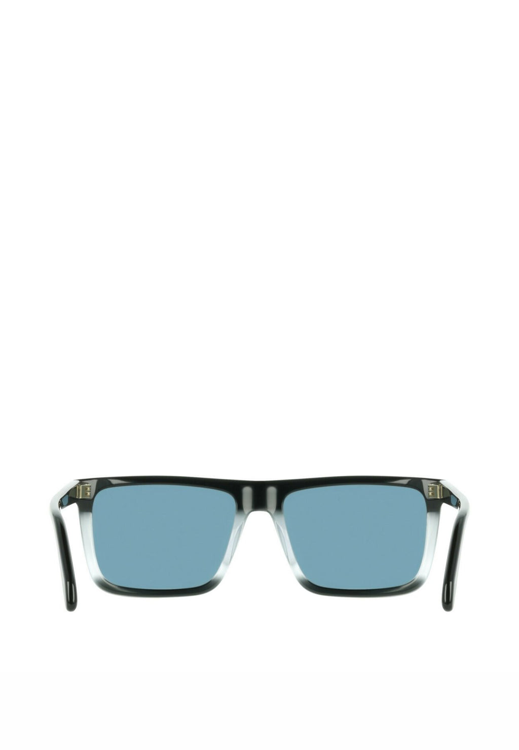 FERRAGAMOSALVATORE FERRAGAMO SUNGLASSES SF2123S - Sonnenbrille