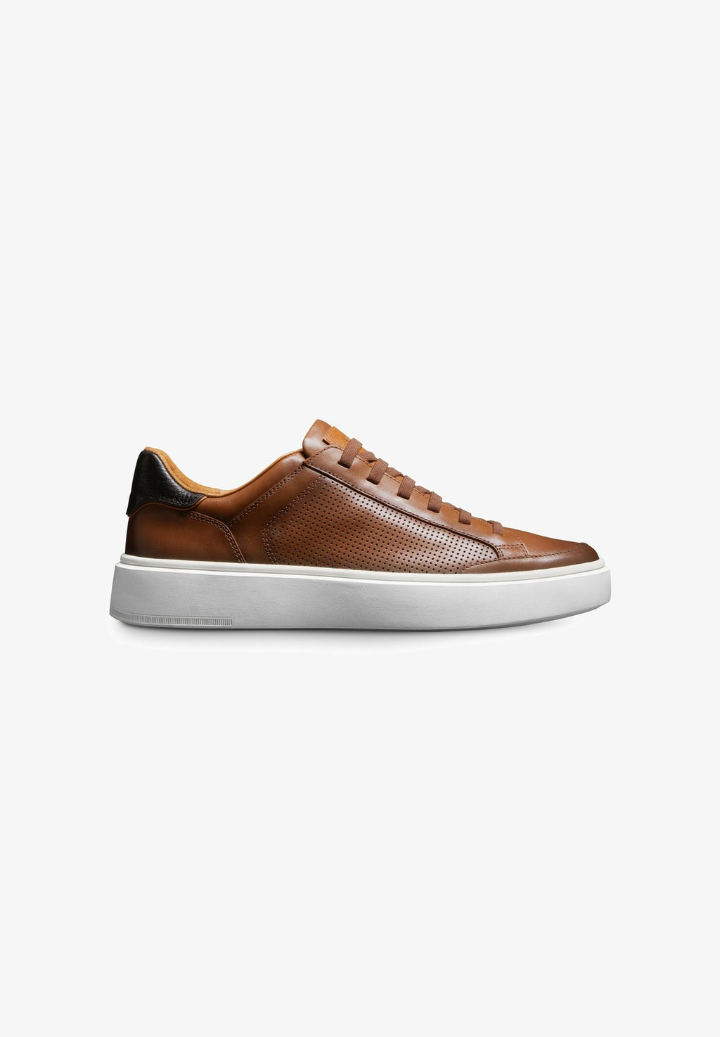 Allen EdmondsOLIVER STRETCH - Sneaker low