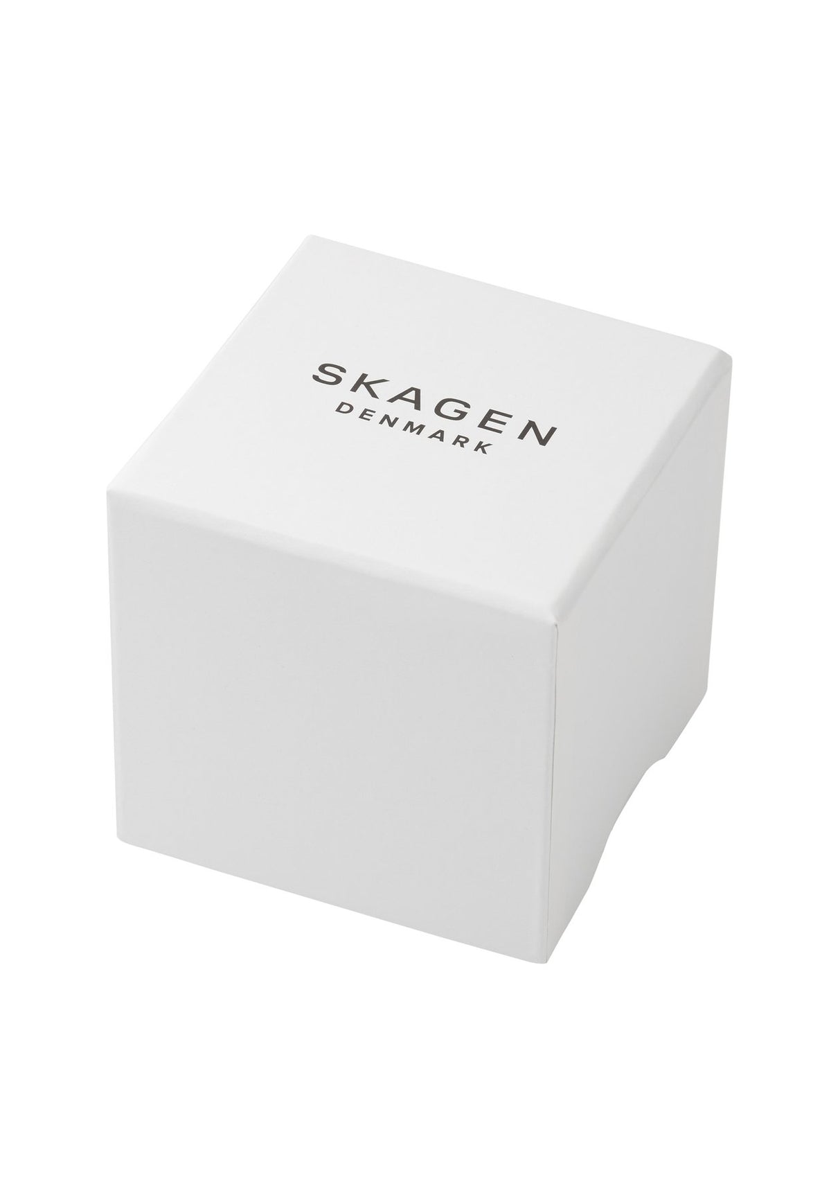 SkagenSKAGEN MEN TRADITIONAL WATCHES SIGNATUR - Uhr