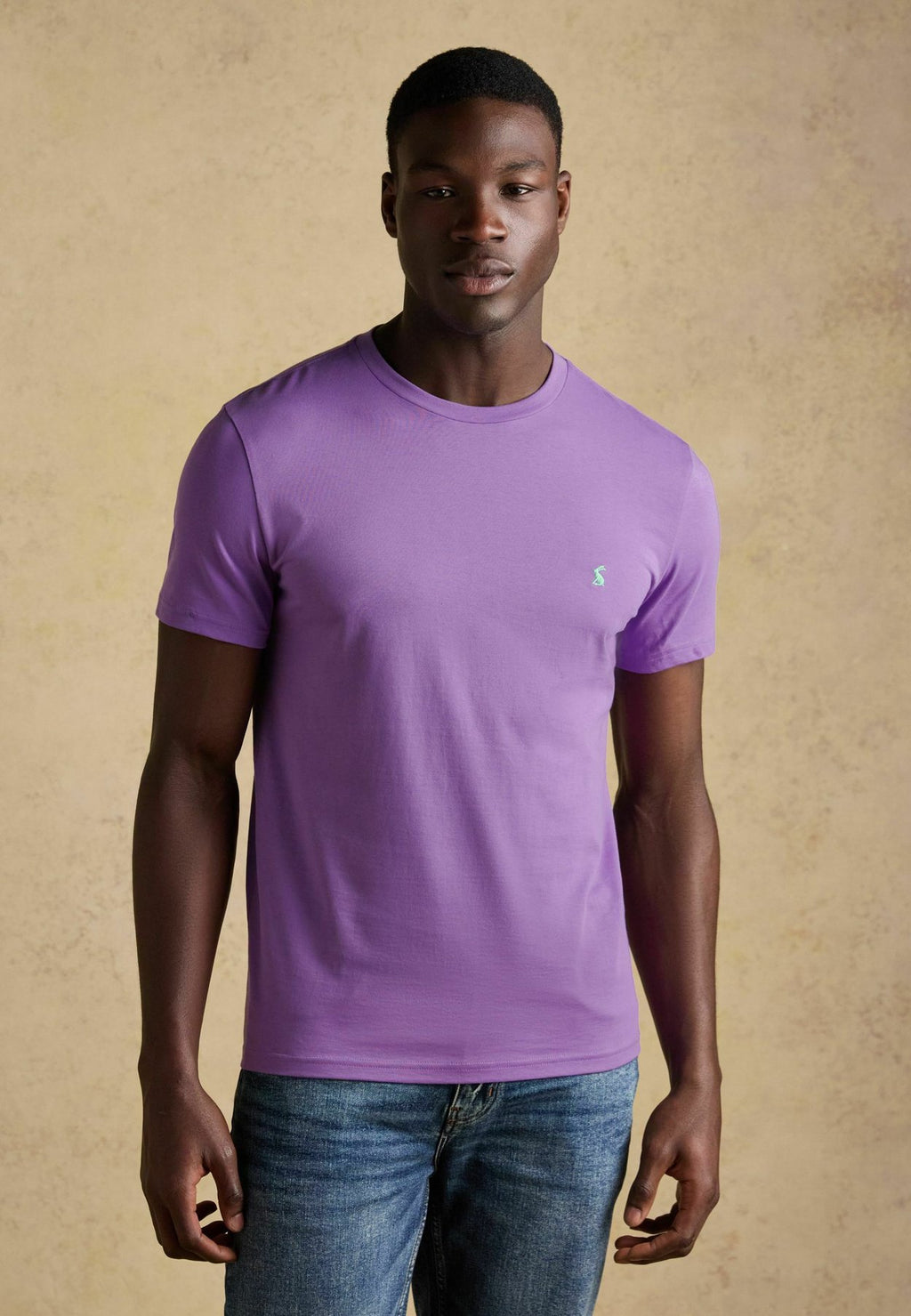 Tom Joule5 PACK - T-Shirt basic