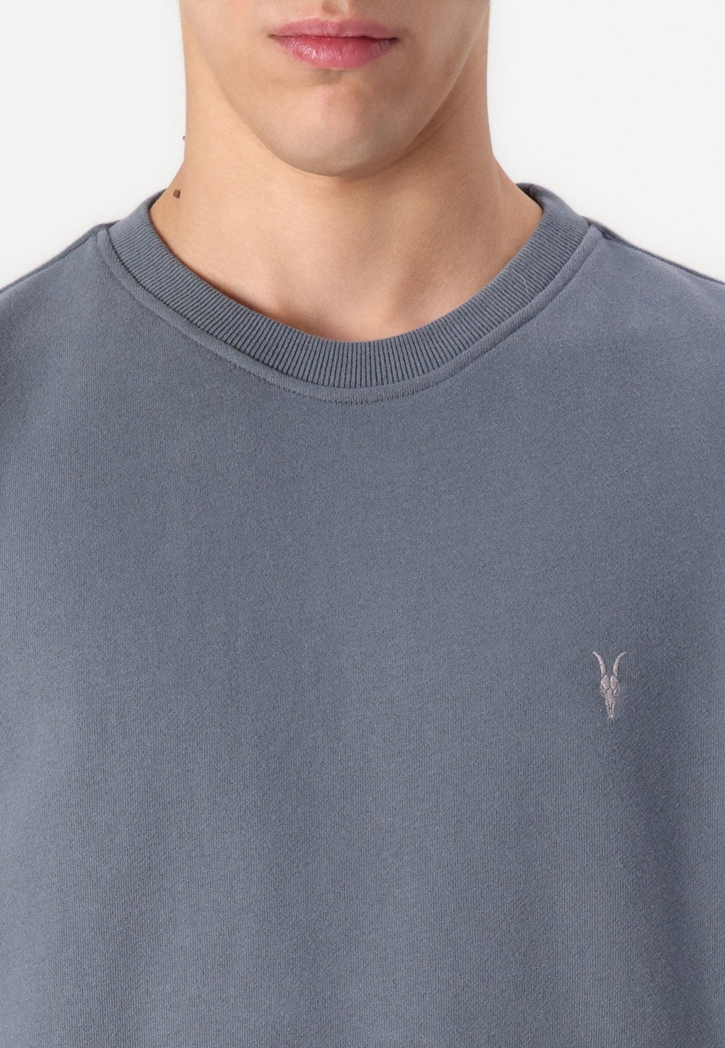 AllSaintsRAVEN CREW - Sweatshirt