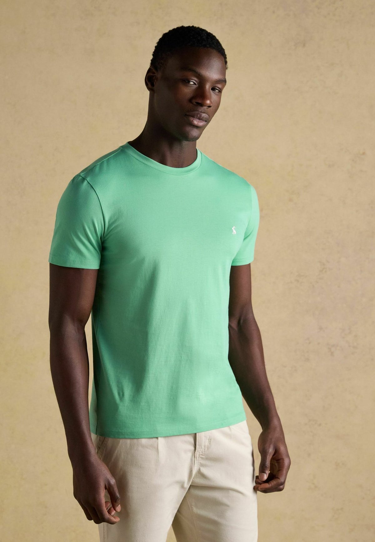 Tom Joule5 PACK - T-Shirt basic