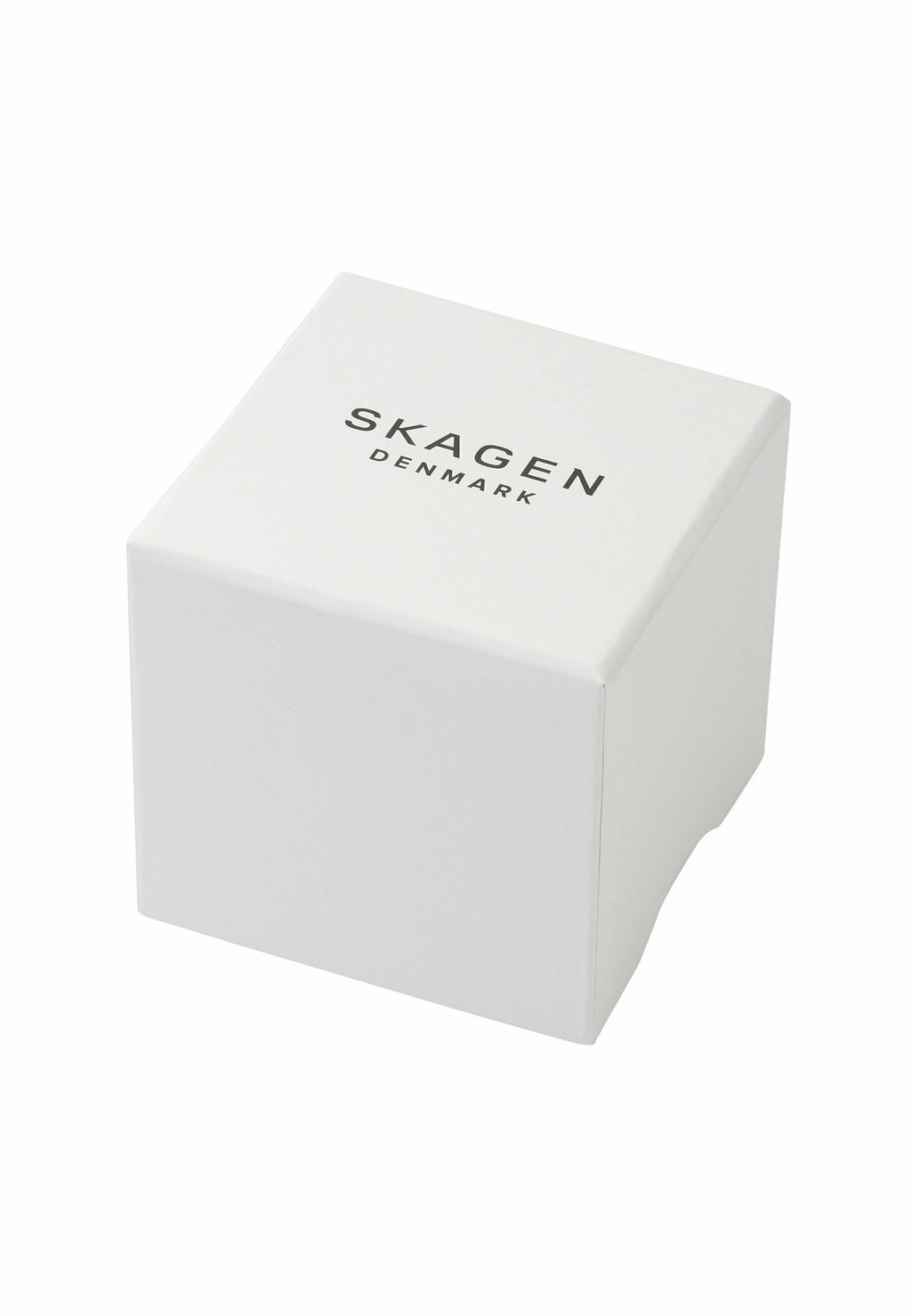SkagenUhr