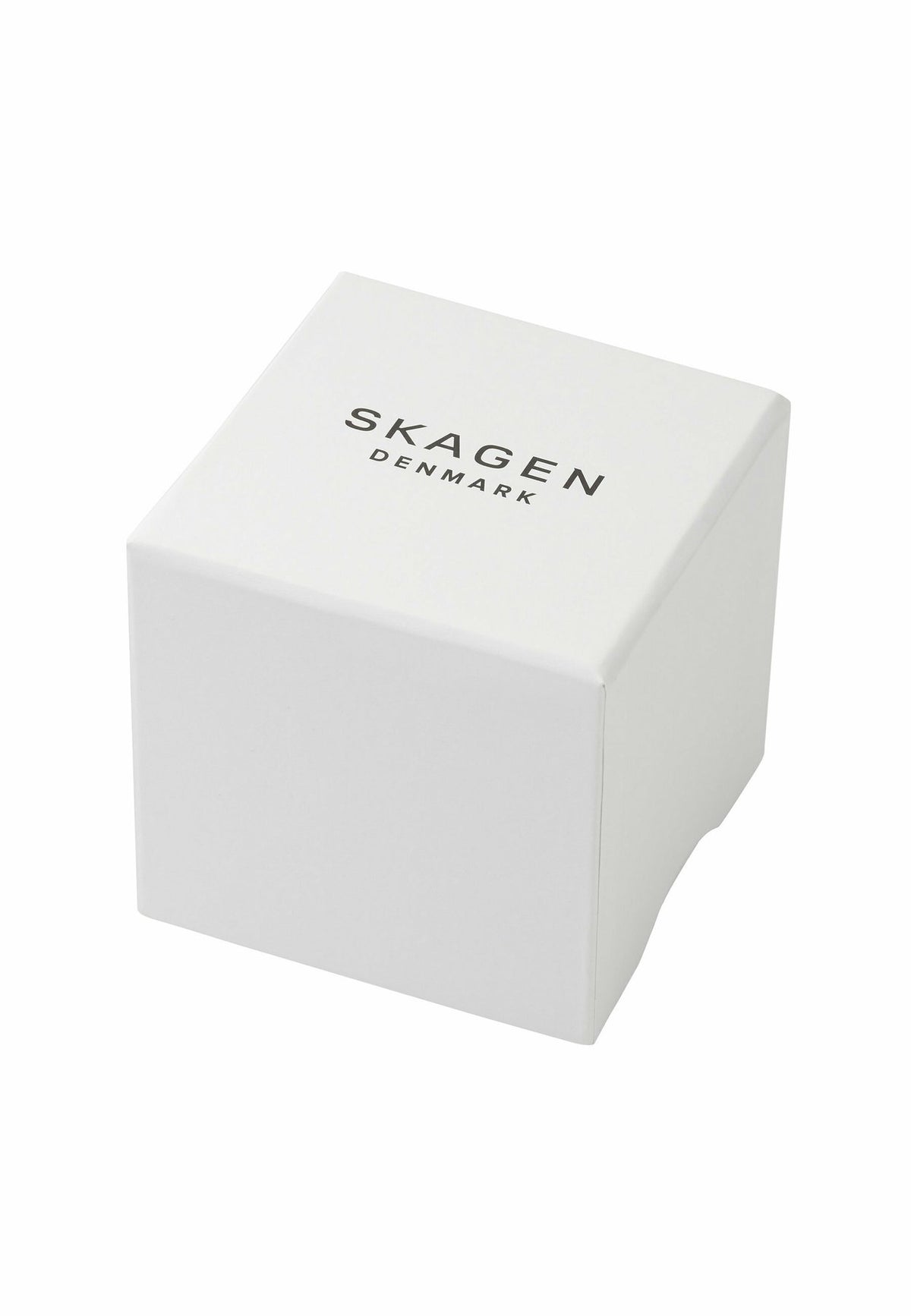 SkagenUhr