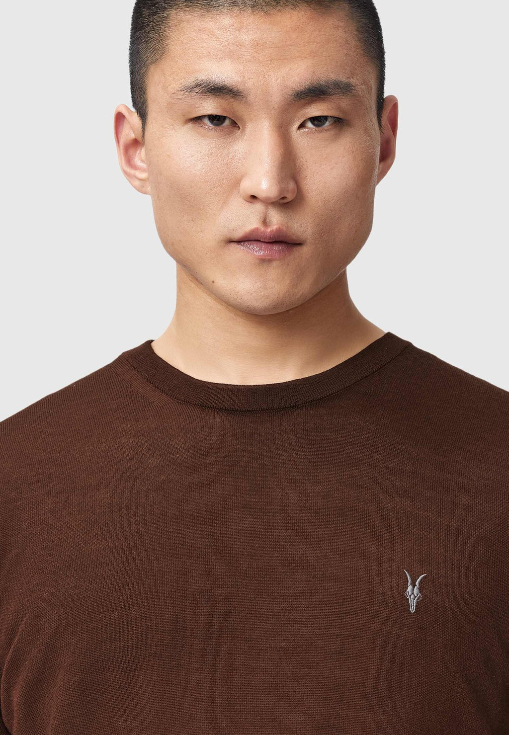 AllSaintsStrickpullover