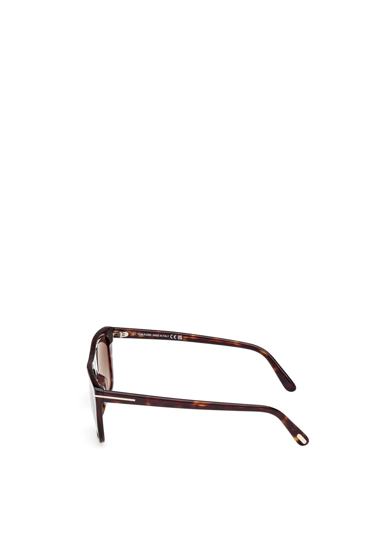 Tom FordASLAN - Sonnenbrille