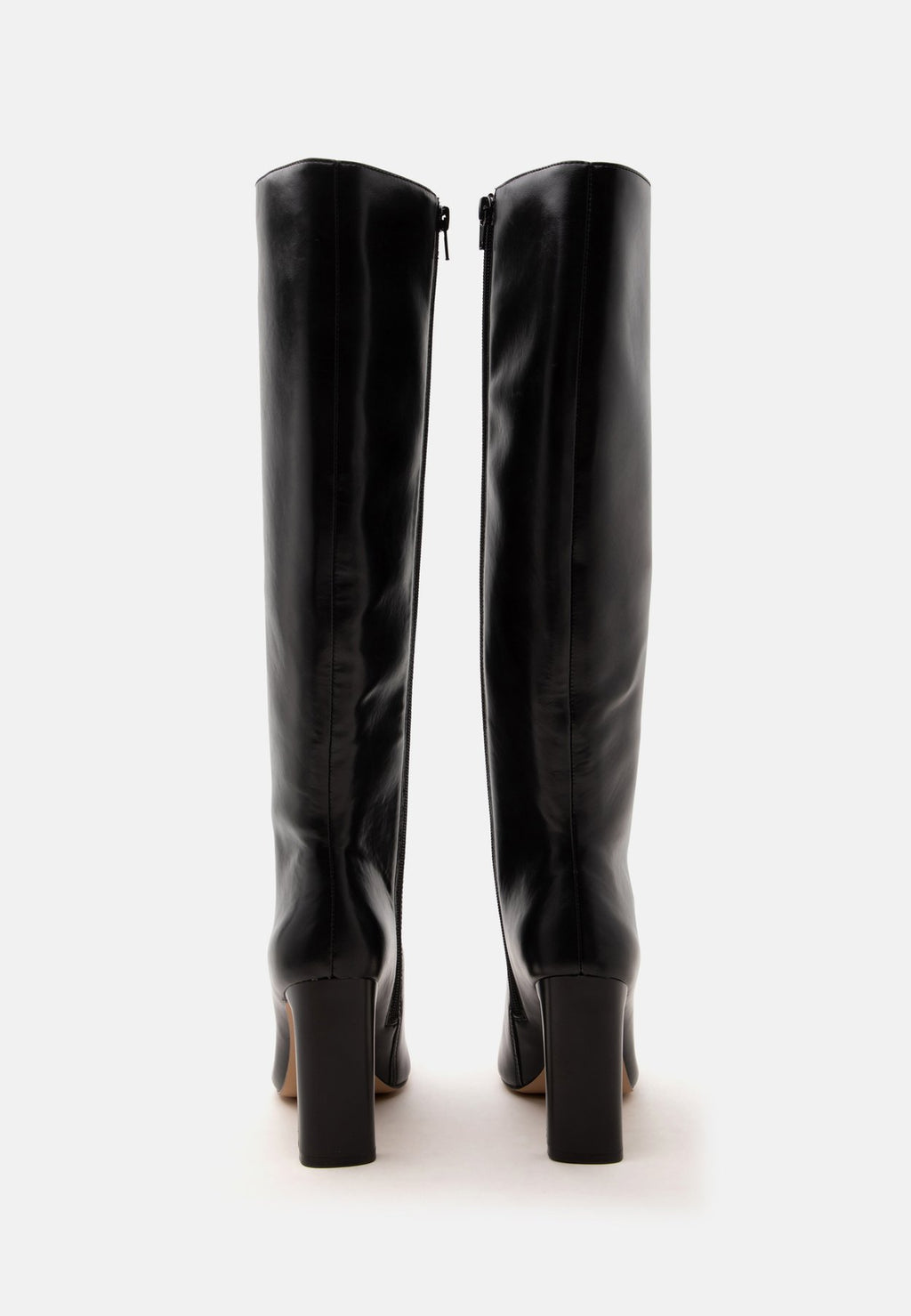 ALDOELYNE - High Heel Stiefel