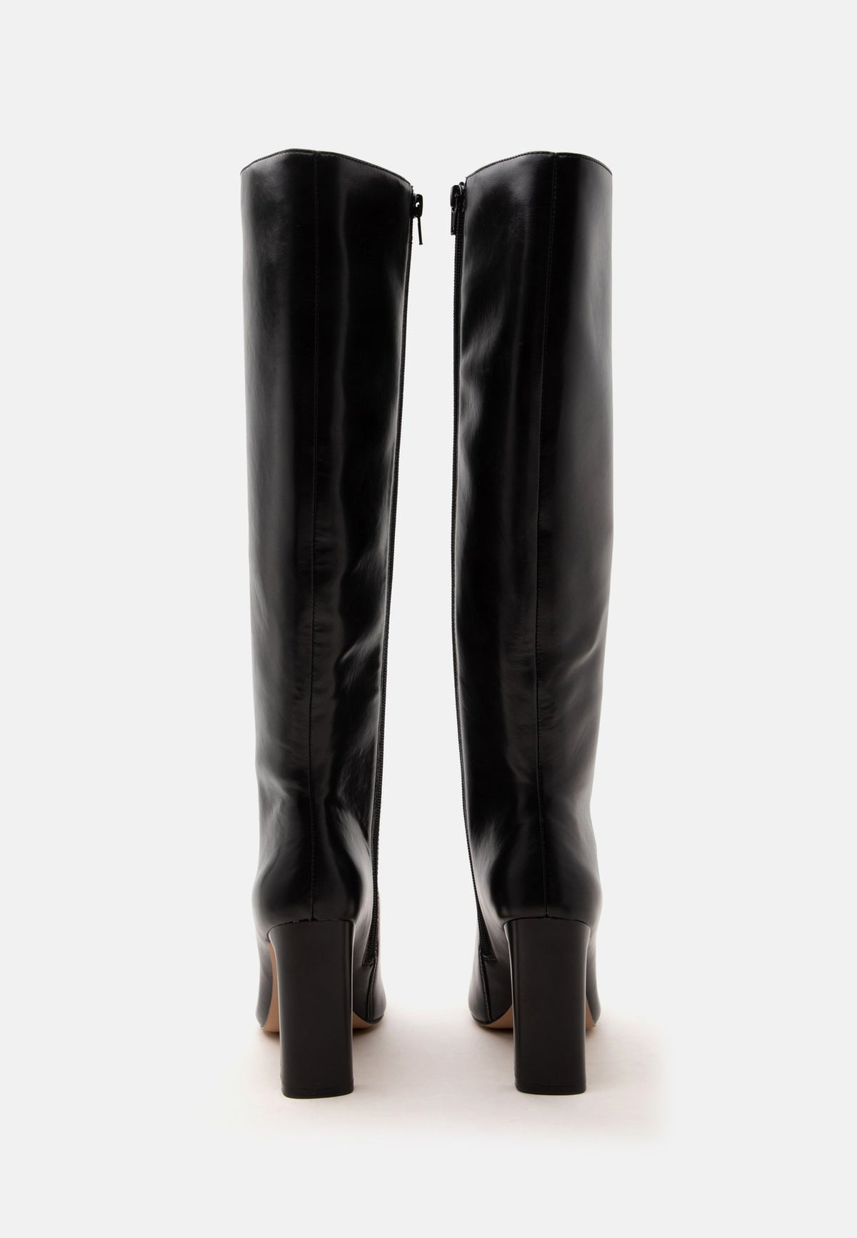 ALDOELYNE - High Heel Stiefel
