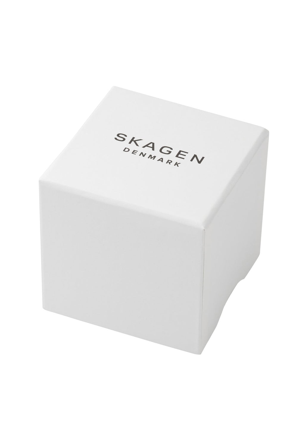 SkagenSKAGEN MEN TRADITIONAL WATCHES SIGNATUR - Uhr