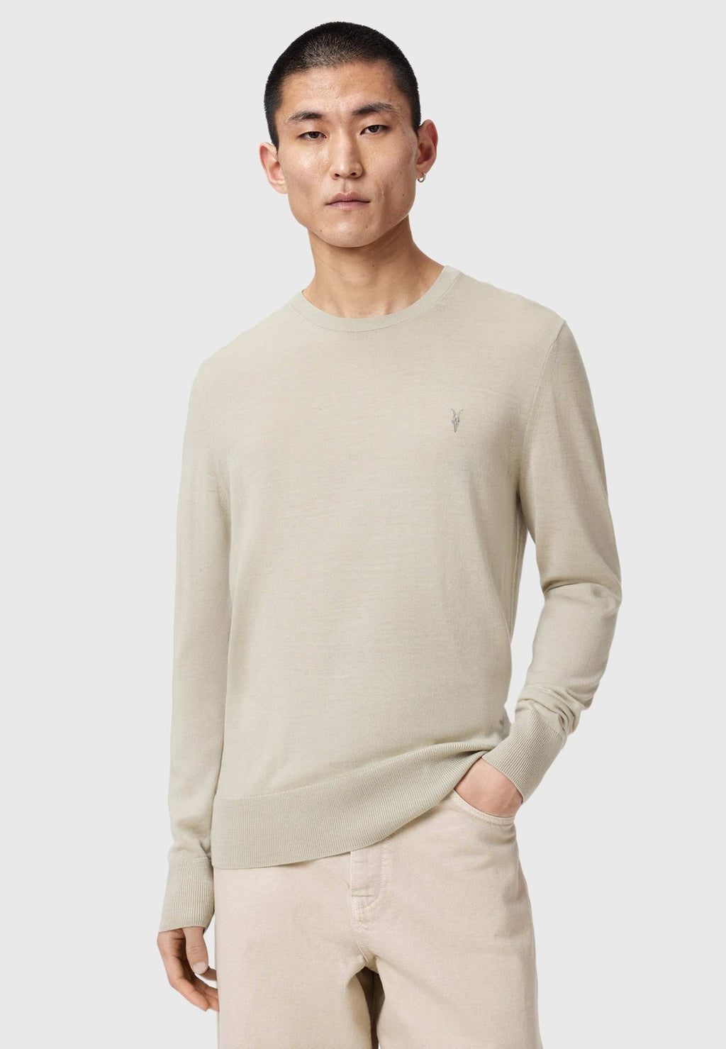 AllSaintsStrickpullover